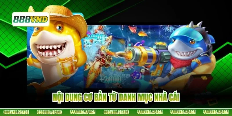 Nội dung cơ bản từ danh mục nhà cái